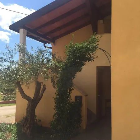 Guest house Casa Fabac 3*